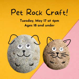Pet Rock Craft @ Patterson Library - Children's Area